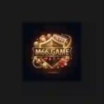 M66 Game