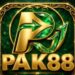 Pak88 Game