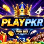 PLAYPKR Game